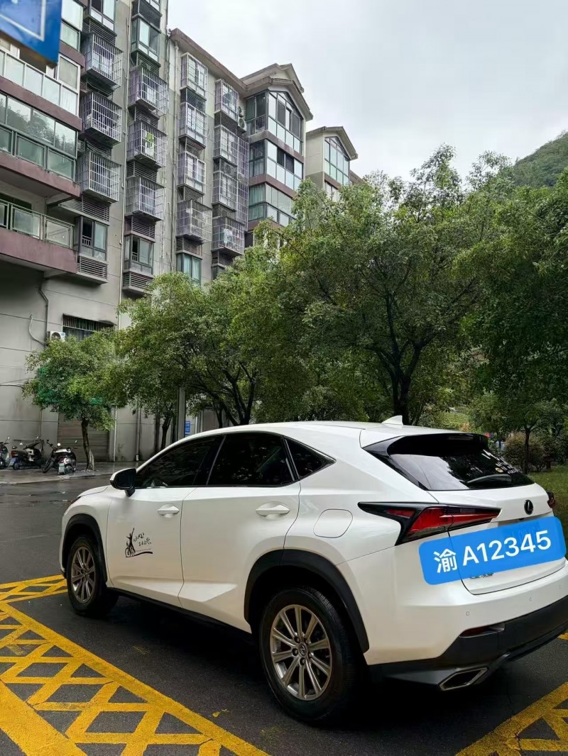 重庆18年雷克萨斯NX4