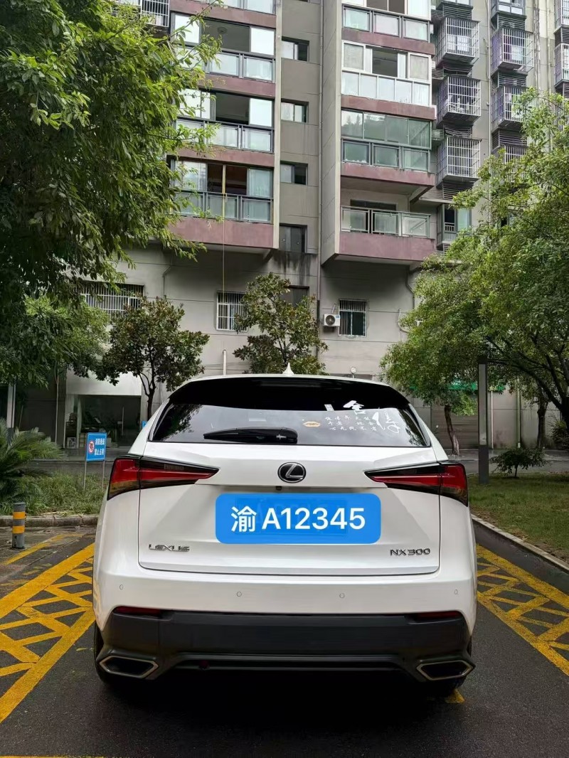 重庆18年雷克萨斯NX5