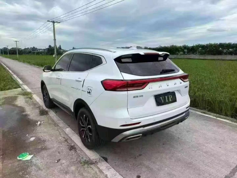 温州24年哈弗H64