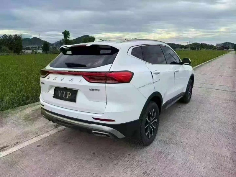 温州24年哈弗H66