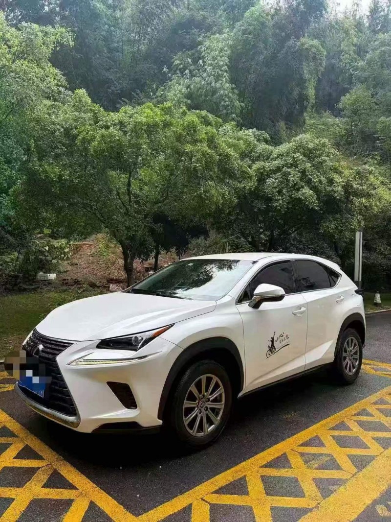 重庆18年雷克萨斯NX2