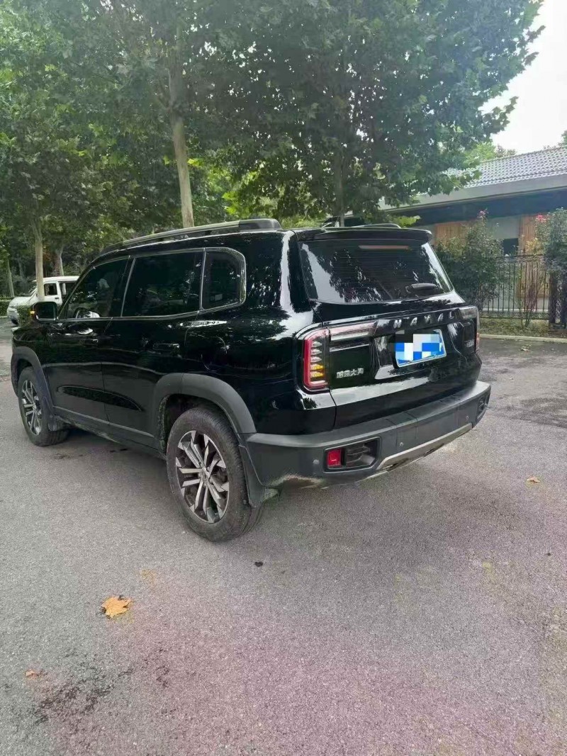 洛阳23年哈弗大狗9
