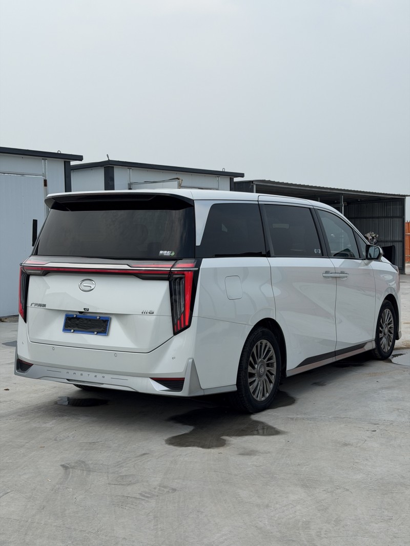 新乡24年传祺M8/GM89