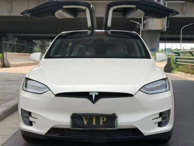 鹤壁17年特斯拉MODEL X1