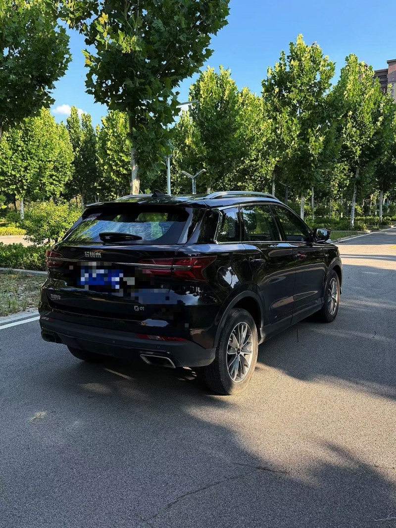 聊城19年SWM斯威汽车G017