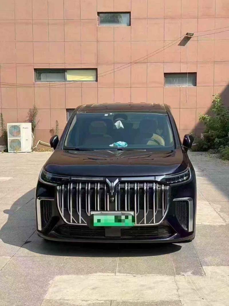 泰安23年岚图汽车梦想家1