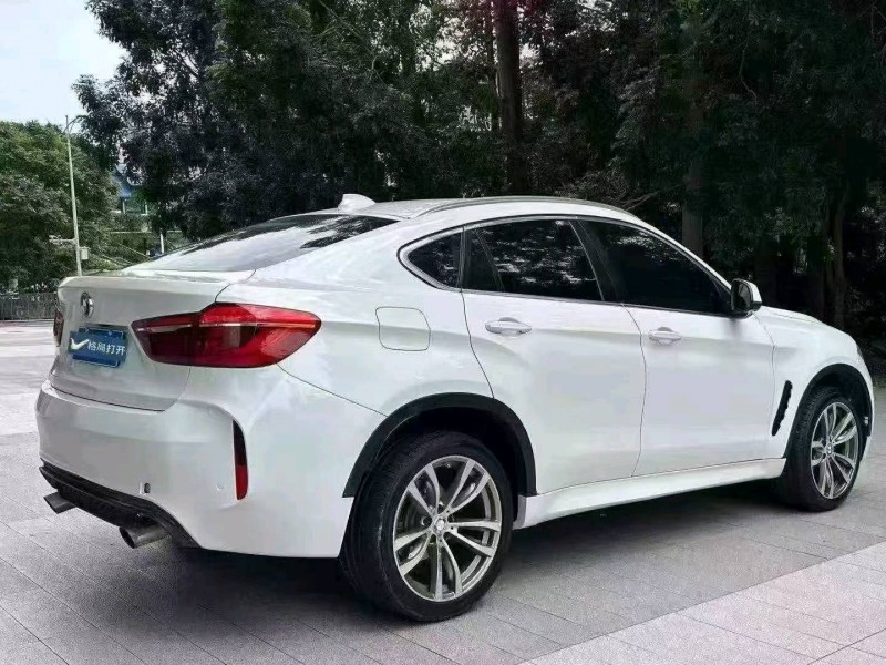广州17年宝马X64