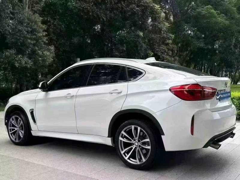 广州17年宝马X66