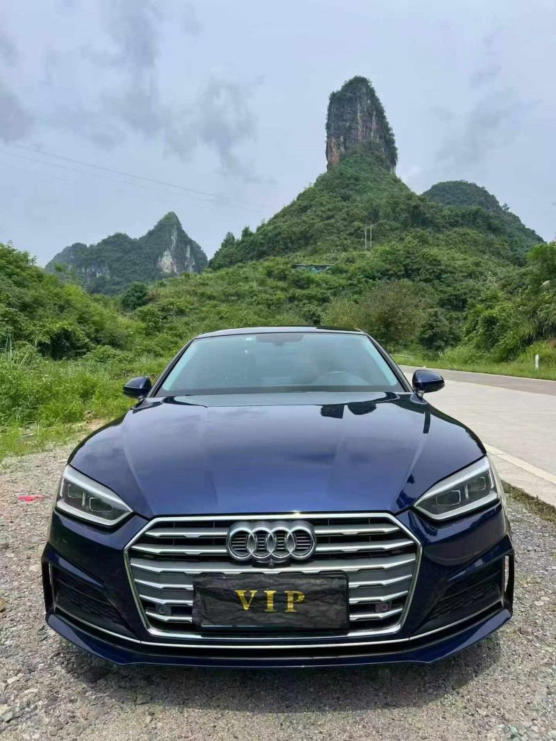 防城港20年奥迪A51