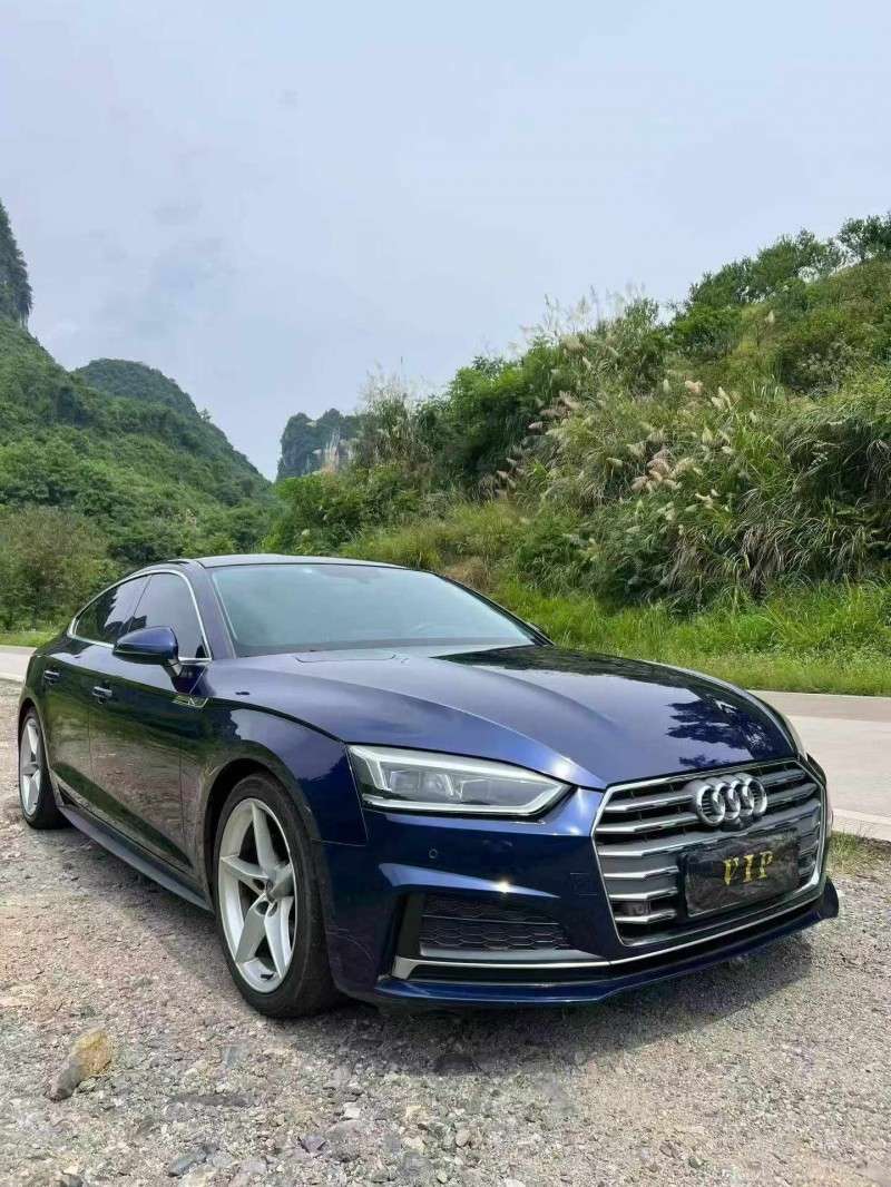 防城港20年奥迪A52