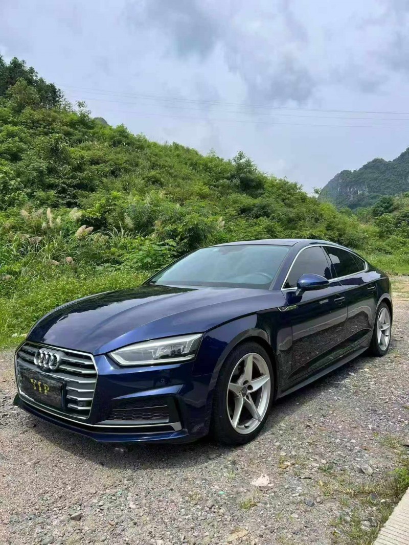 防城港20年奥迪A53