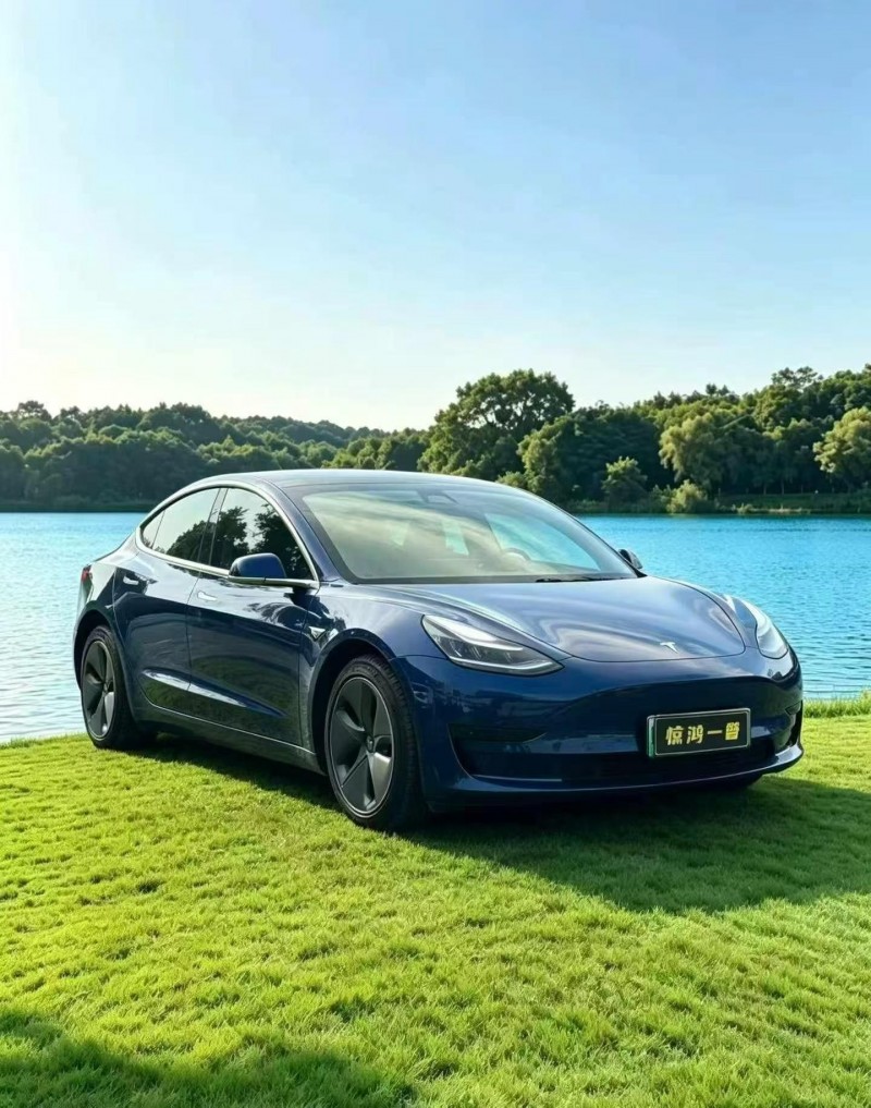 佛山20年特斯拉MODEL 32