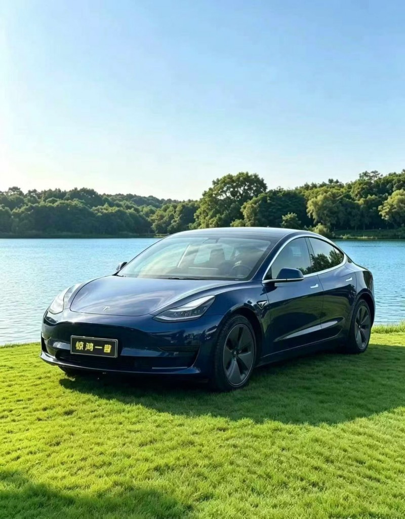 佛山20年特斯拉MODEL 33