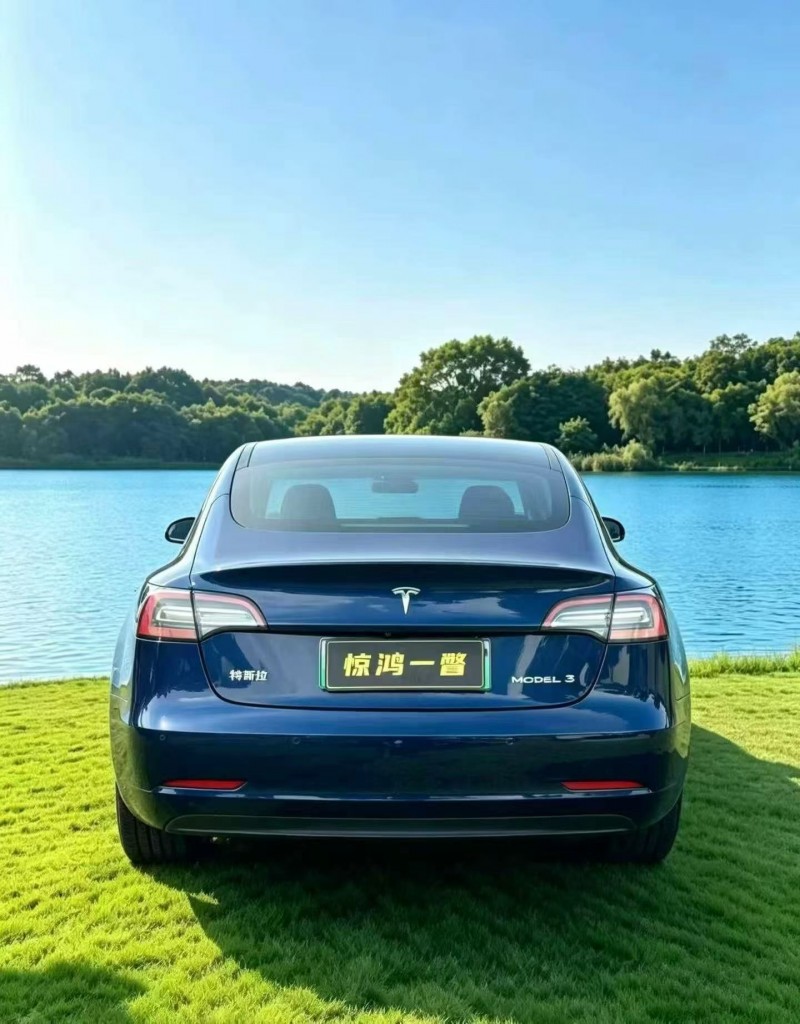 佛山20年特斯拉MODEL 34