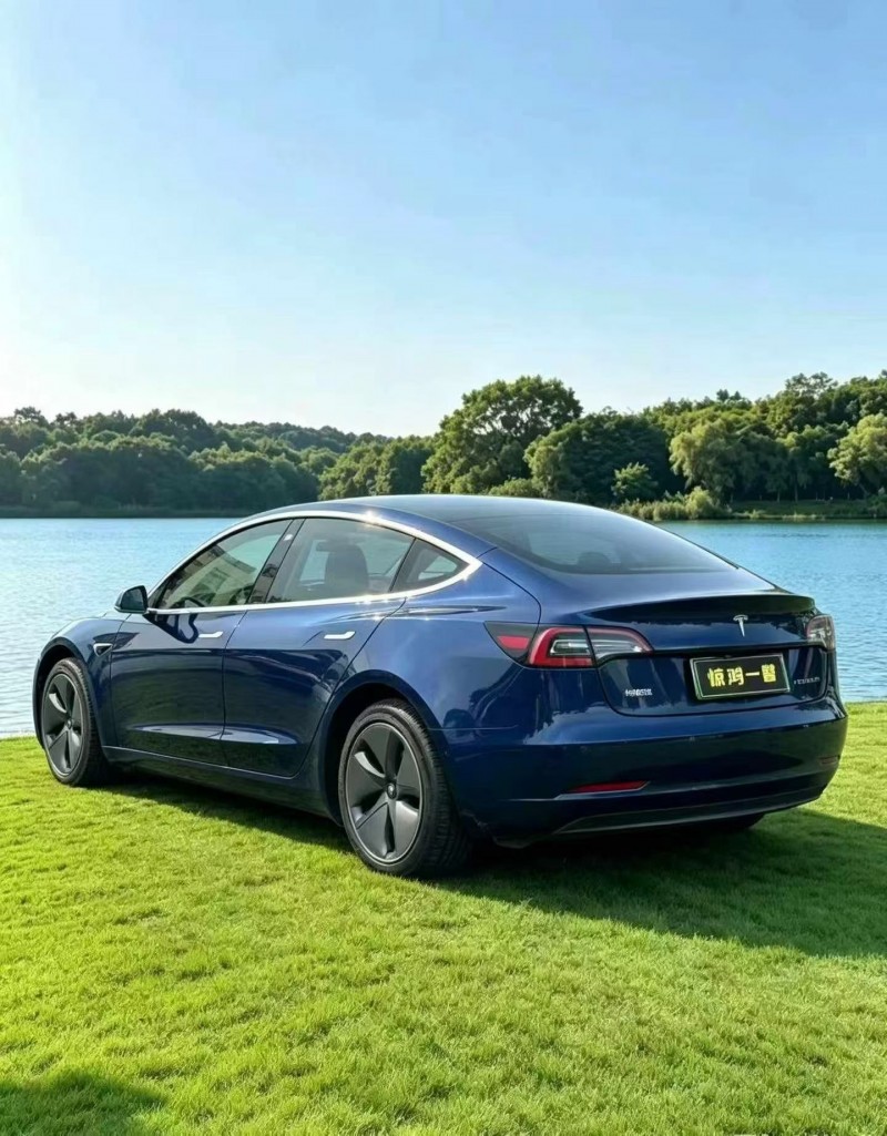 佛山20年特斯拉MODEL 35