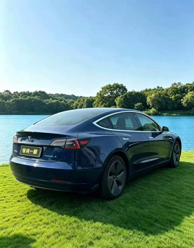 佛山20年特斯拉MODEL 36