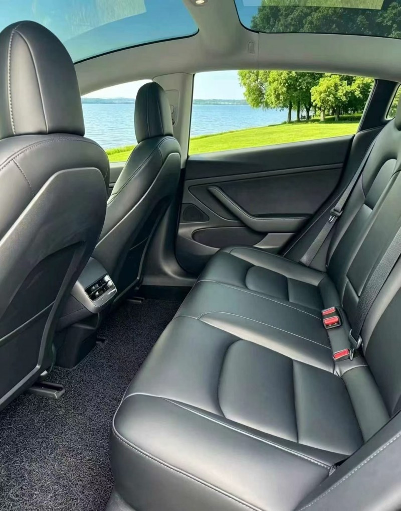 佛山20年特斯拉MODEL 38