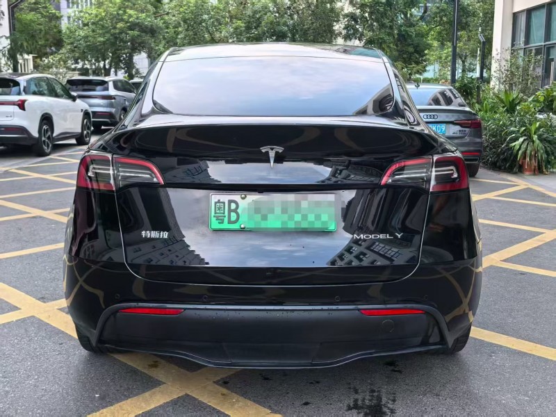 广州23年特斯拉MODEL Y9