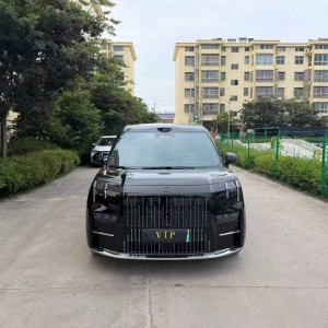 徐州25年极氪汽车009