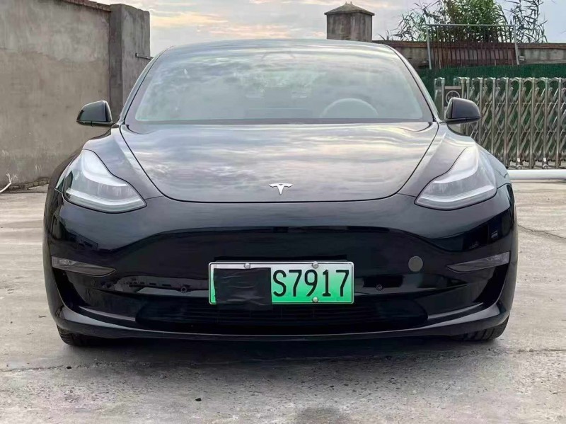 孝感20年特斯拉MODEL 31