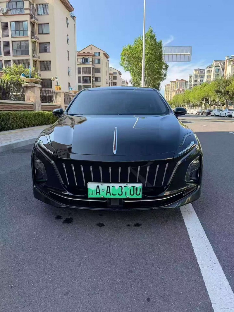 东营22年红旗E-QM51