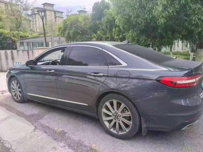 丽江20年福特金牛座8