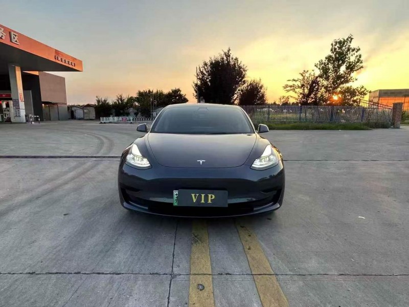 徐州20年特斯拉MODEL 31