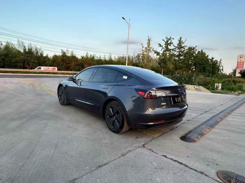 徐州20年特斯拉MODEL 35
