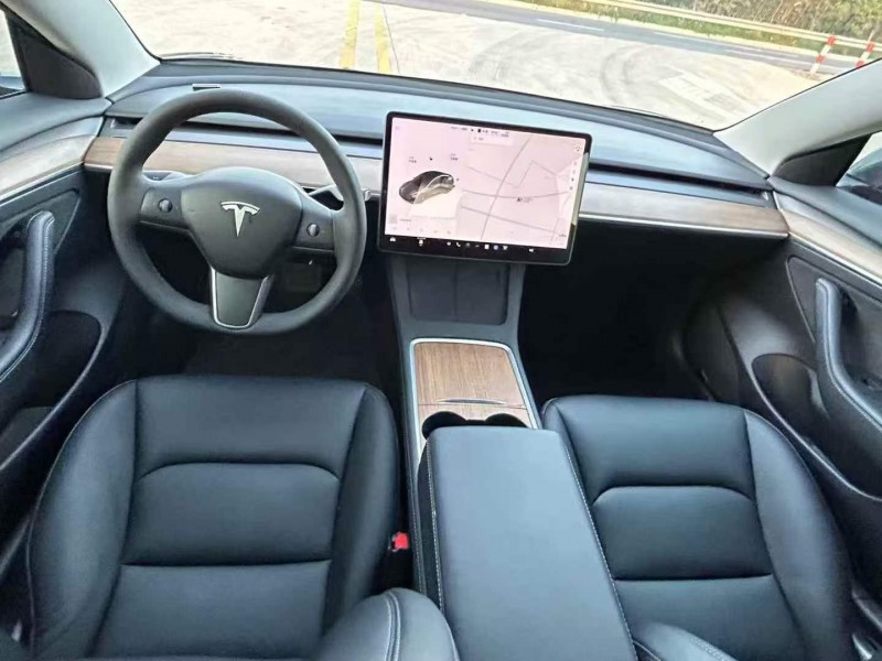 徐州20年特斯拉MODEL 39