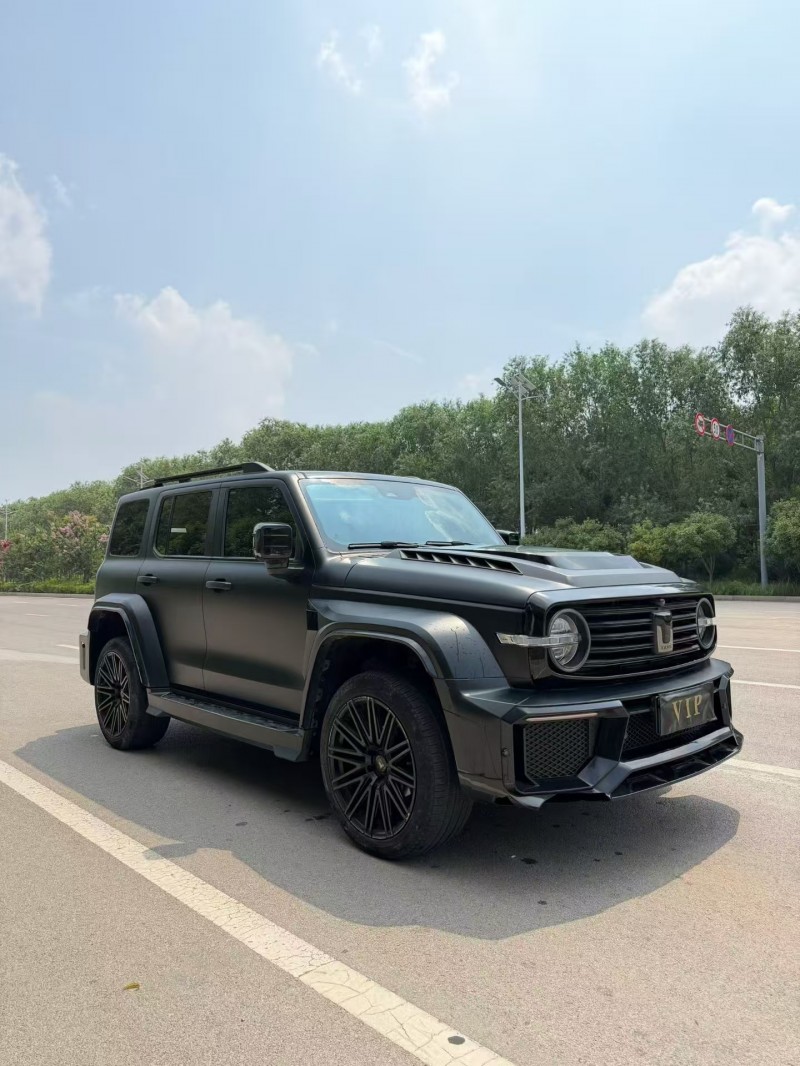 枣庄22年长城汽车坦克2