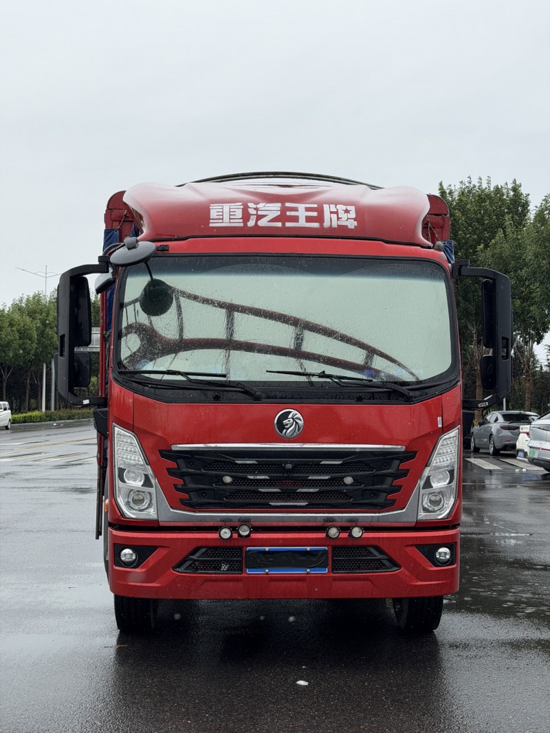 新乡25年卡车系列重汽王牌1