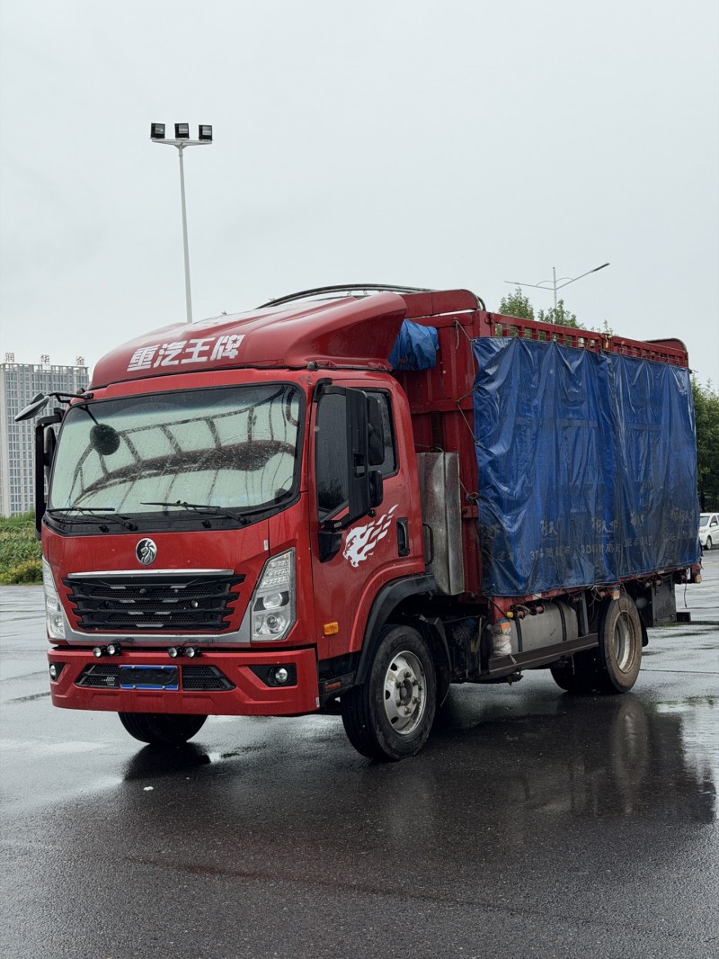 新乡25年卡车系列重汽王牌3