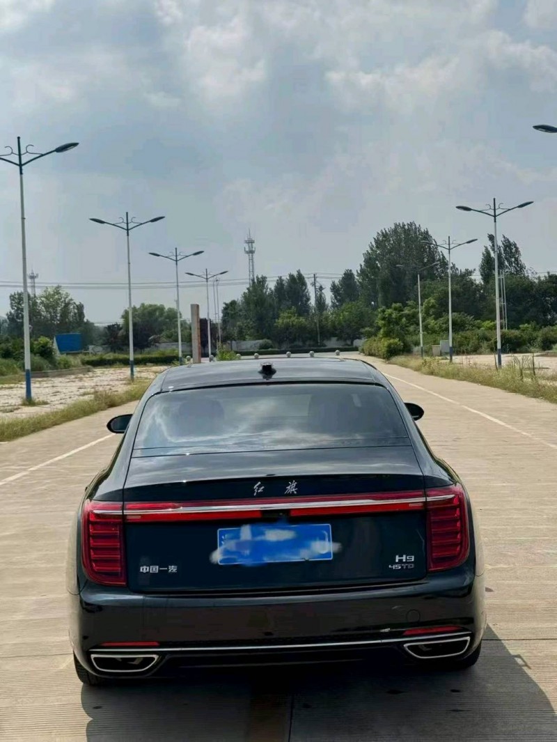 枣庄21年红旗H95
