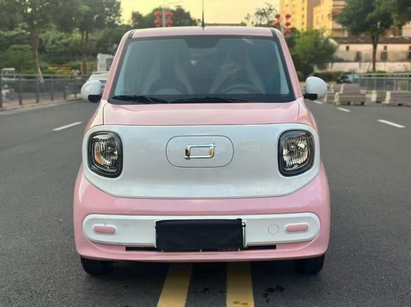东莞25年奔腾小马1