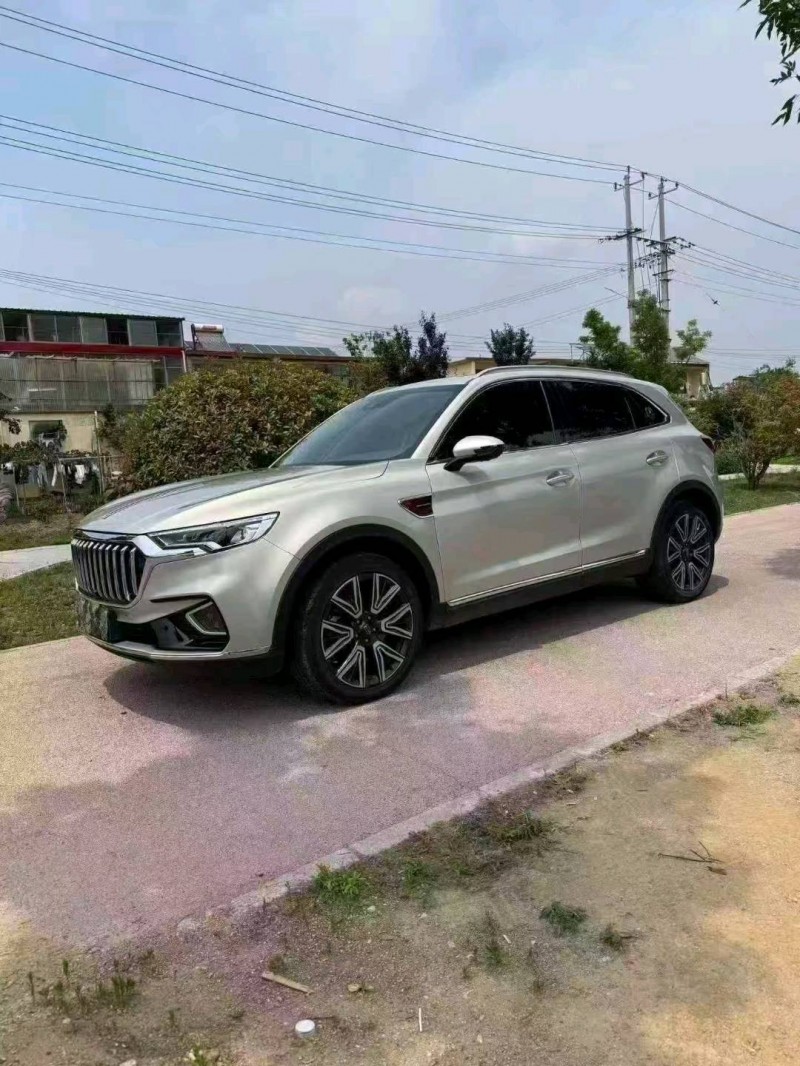 枣庄21年红旗HS53