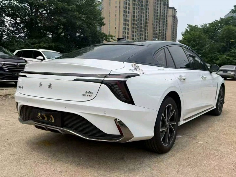 娄底25年红旗H69