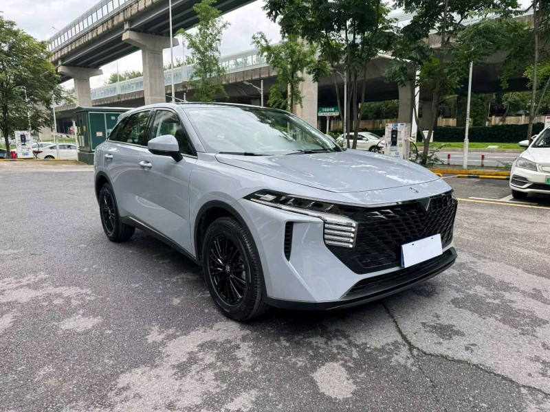 长沙25年启辰大V3