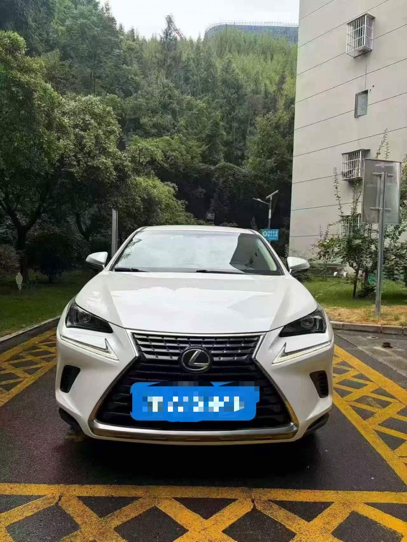 重庆18年雷克萨斯NX1