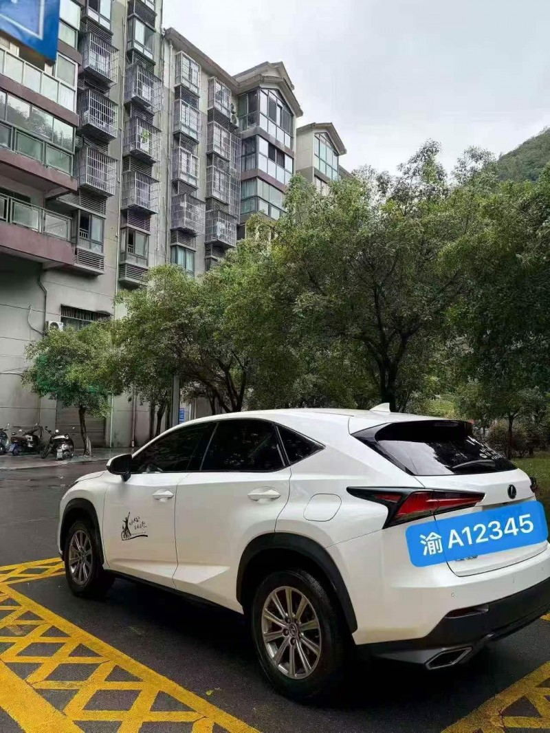重庆18年雷克萨斯NX2