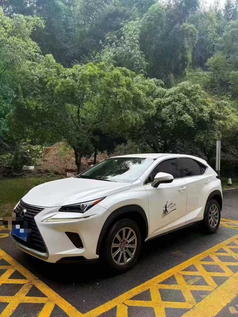 重庆18年雷克萨斯NX4