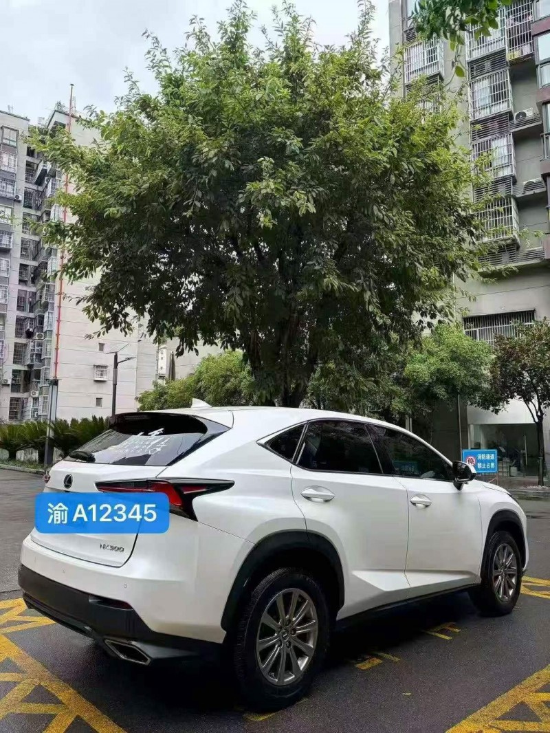 重庆18年雷克萨斯NX6