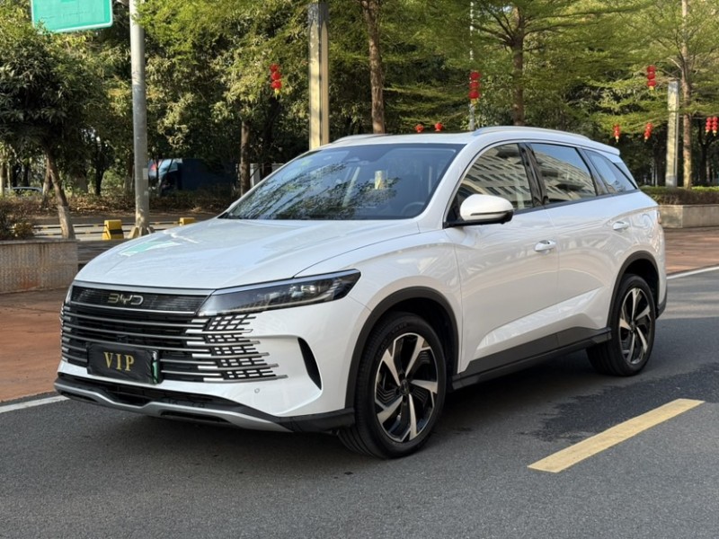 东莞25年比亚迪海狮2
