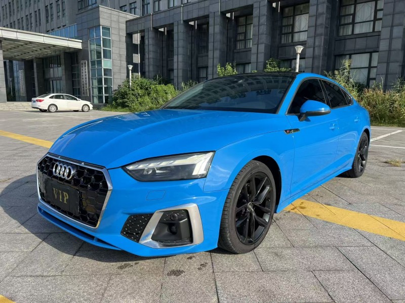 盐城22年奥迪A52