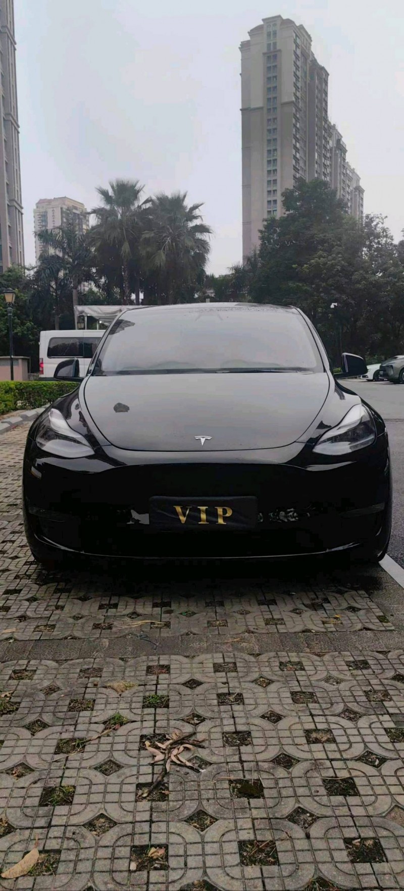 百色24年特斯拉MODEL Y1