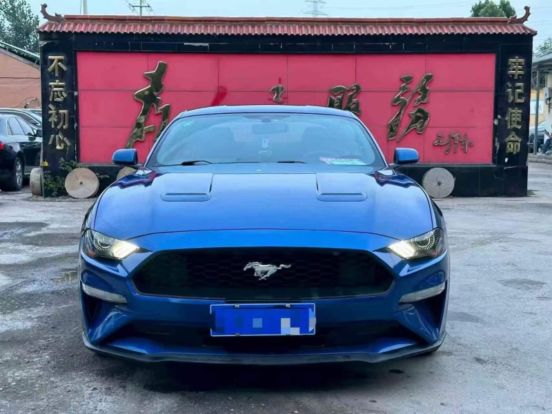 淄博18年福特野马1