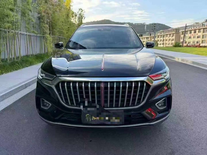 温州20年红旗HS51
