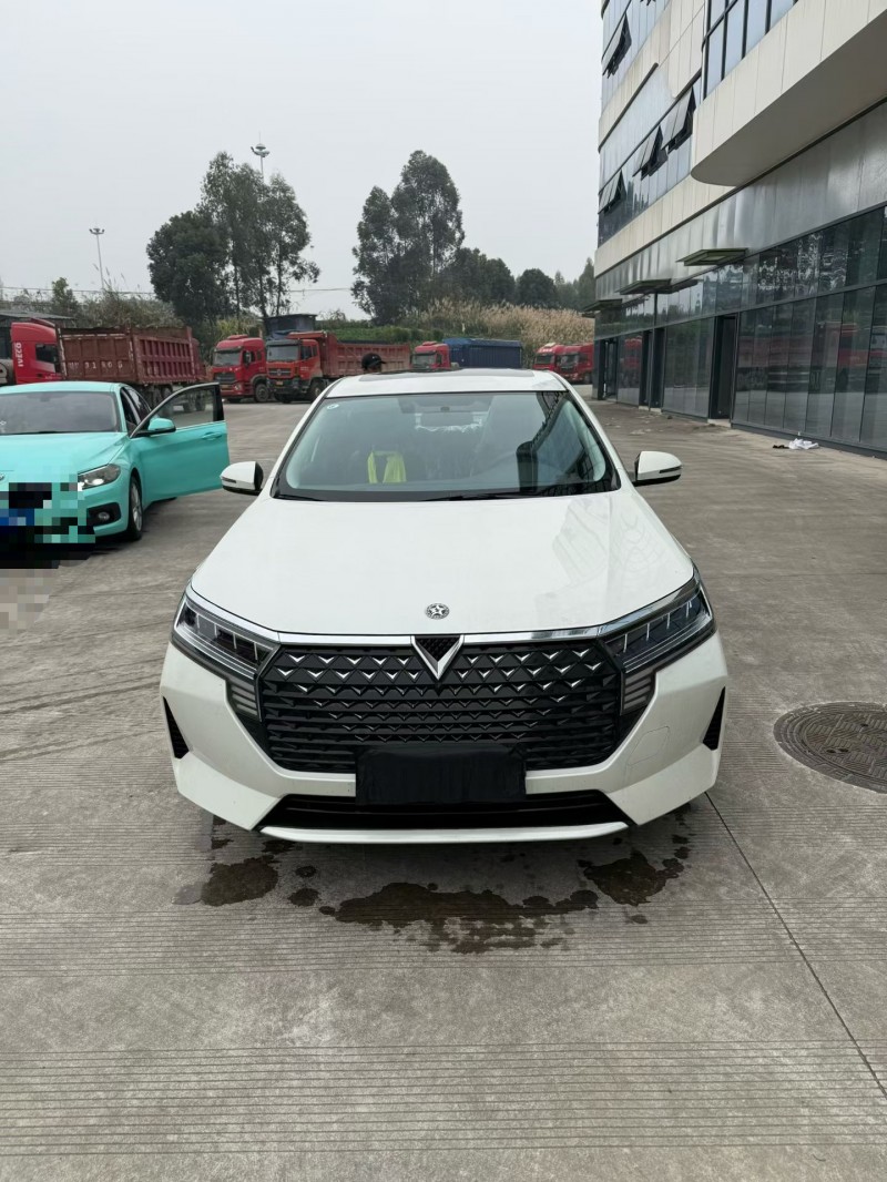乐山24年启辰D601