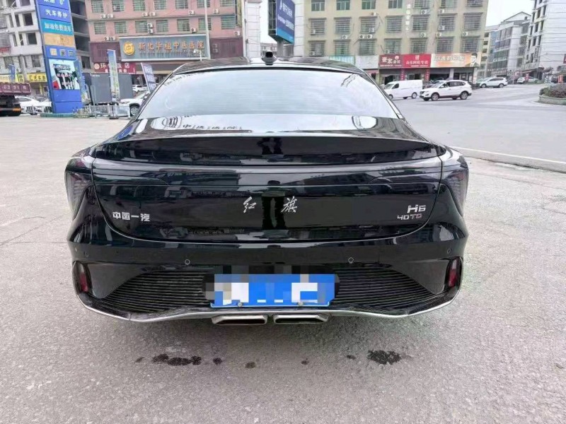 邵阳25年红旗H69
