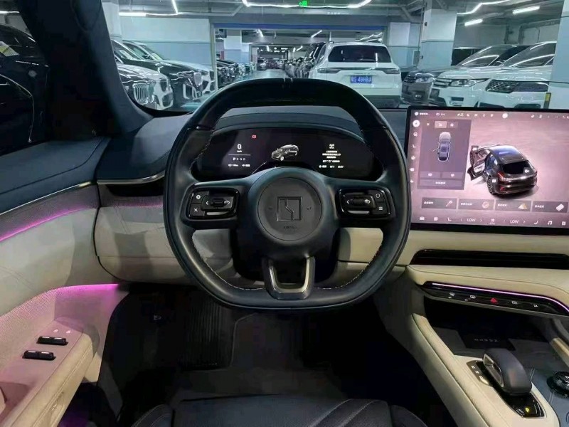 广州24年极氪汽车0014