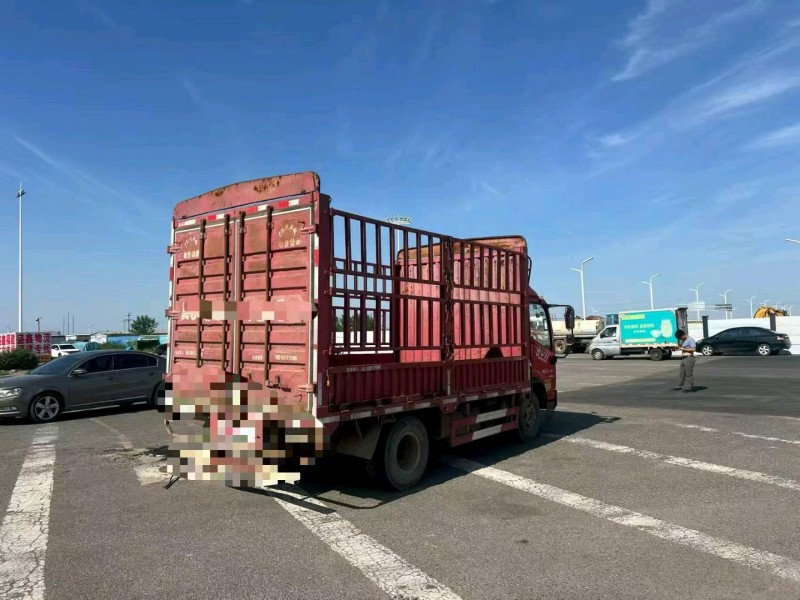 沧州19年解放解放卡车5